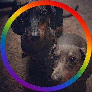 Meet your Posher, Ashleigh